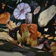 Parfums de Marly Althaïr  for men