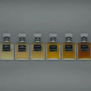 Balenciaga 24/7 unisex fragrance notes displayed in a detailed graphic, highlighting the scent profile for decanted sample sizes