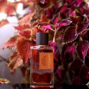 Goldfield & Banks Australia Desert Rosewood  for women and men