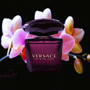 Crystal Noir Versace for women