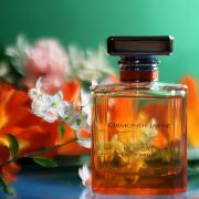 Ormonde Jayne Muscat  for women and men
