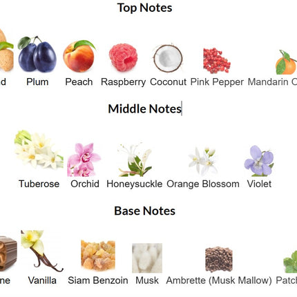 Decanted WIDIAN Almond perfume notes graphic displaying top notes of almond, peach, raspberry, coconut; mid notes of tuberose, orange blossom, orchid; and base notes of vanilla, musk and benzoin.”