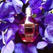 Viktor&Rolf Flowerbomb Ruby Orchid  for women